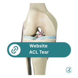 Link to Website ACL